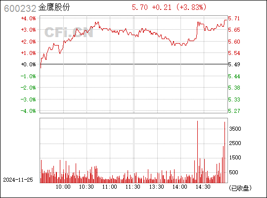 最新消息概览，金鹰股份动态更新及概况分析